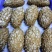 【推荐】黑小麦粉，黑麦粉全国供应面粉量大从优欢迎进店