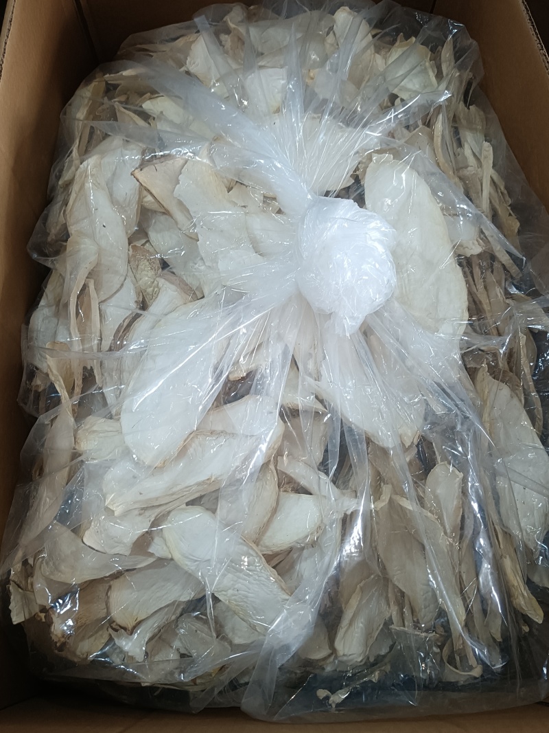 杏鲍菇中片，箱装，产地:福建古田县食用菌批发市场，。。。