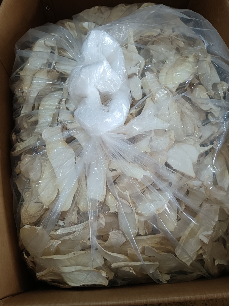 杏鲍菇中片，箱装，产地:福建古田县食用菌批发市场，。。。