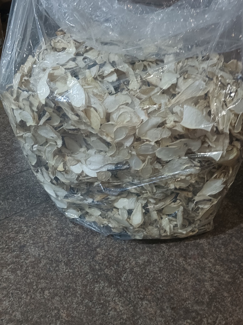 杏鲍菇中片，箱装，产地:福建古田县食用菌批发市场，。。。