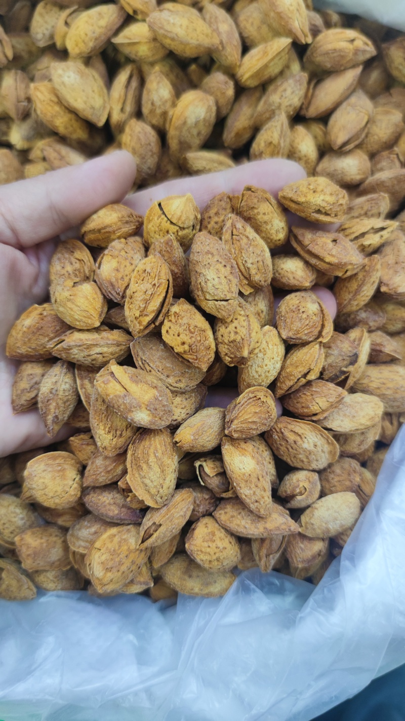 爆壳佳美巴旦木NP巴旦木皮薄果仁饱满口感香脆，大量有货