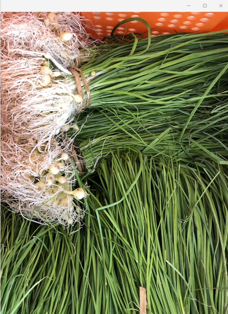 薤白，大量上市，物美价廉