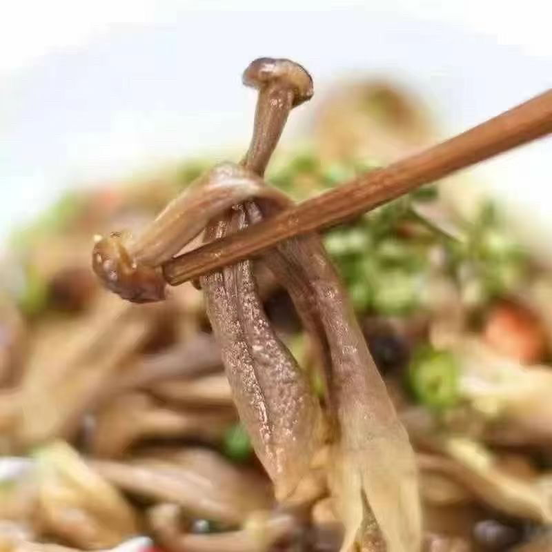 鹿茸菇**鹿茸菇展销会门市摆地摊纯干