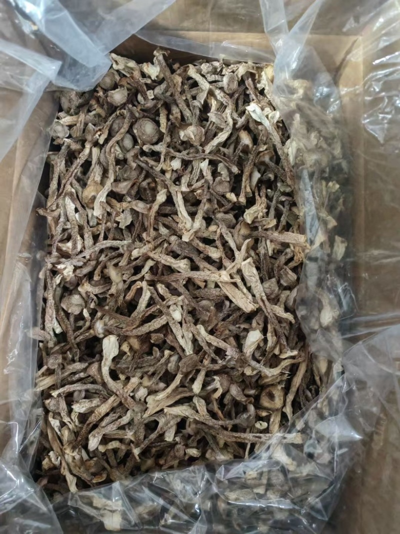 鹿茸菇**鹿茸菇展销会门市摆地摊纯干