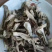鹿茸菇**鹿茸菇展销会门市摆地摊纯干