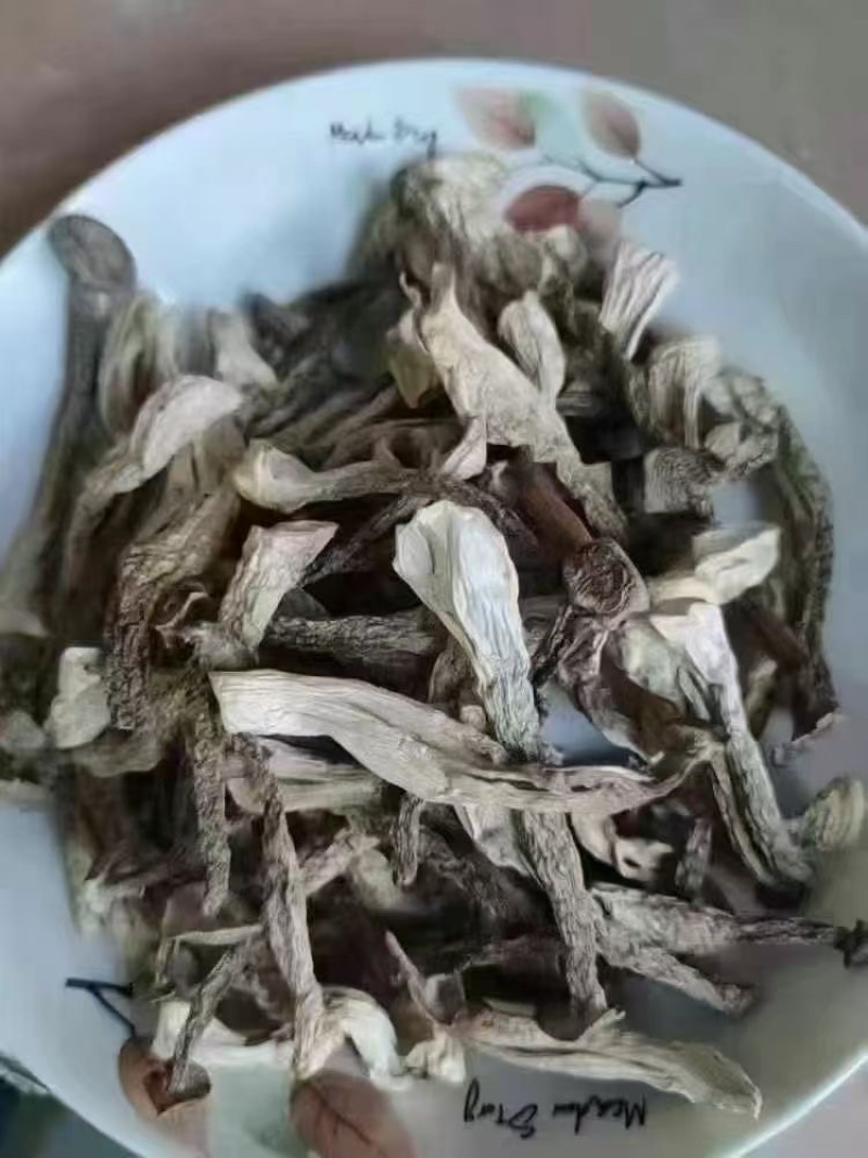 鹿茸菇**鹿茸菇展销会门市摆地摊纯干