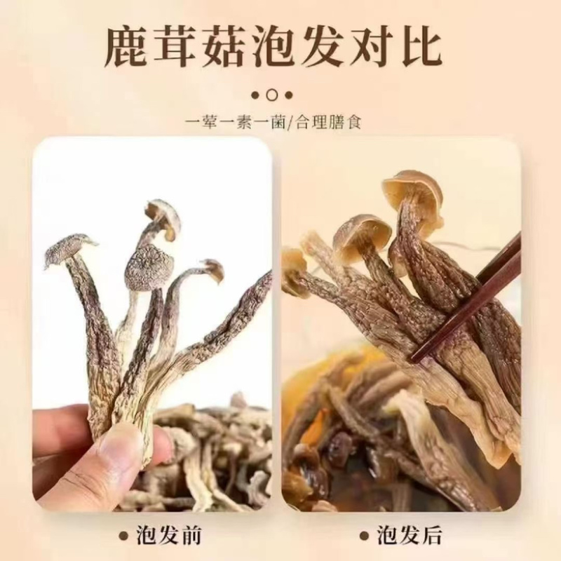 鹿茸菇**鹿茸菇展销会门市摆地摊纯干