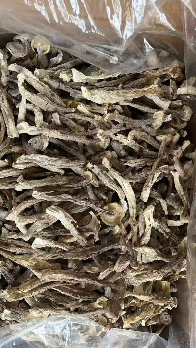 鹿茸菇**鹿茸菇展销会门市摆地摊纯干