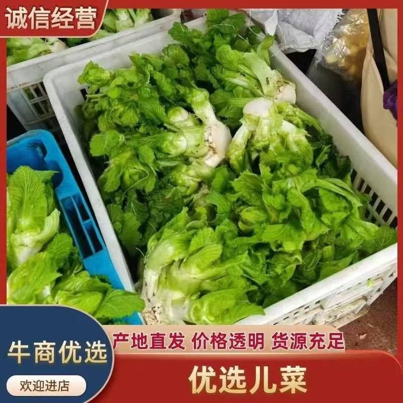 儿菜