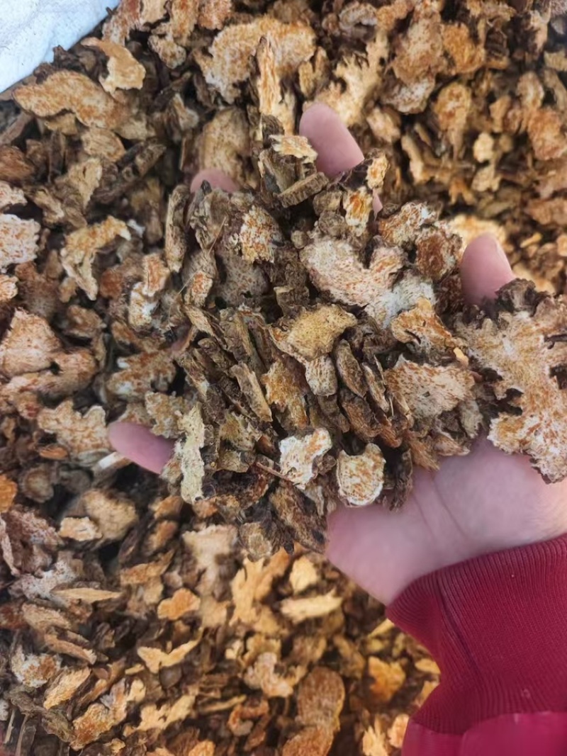 内蒙苍术高含量北苍术3到8