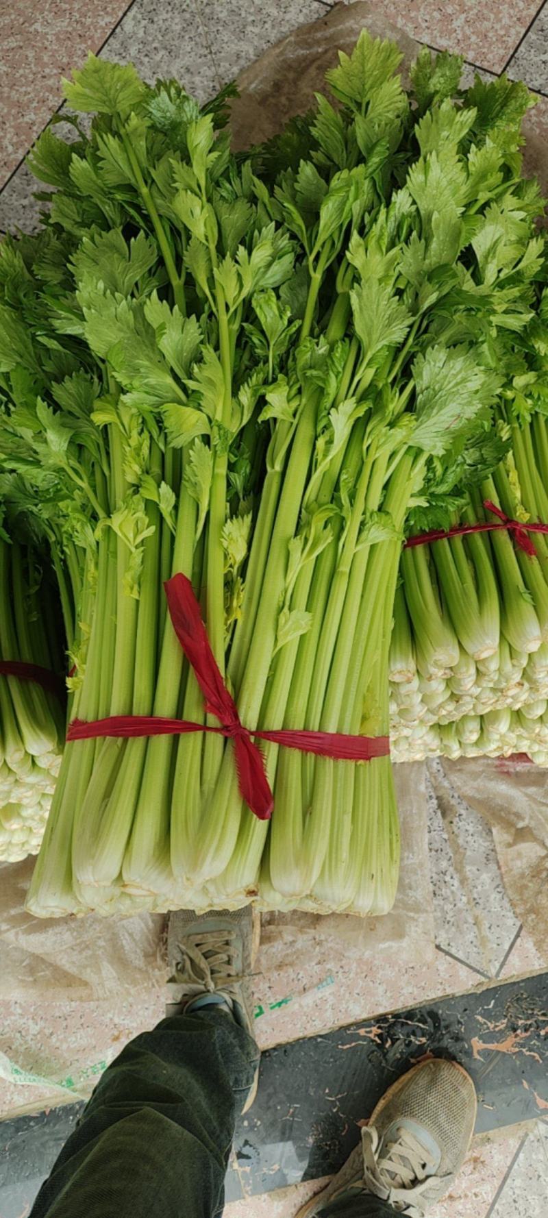 芹菜