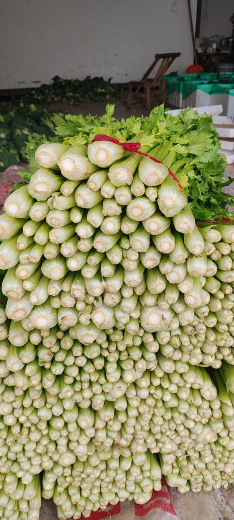 芹菜