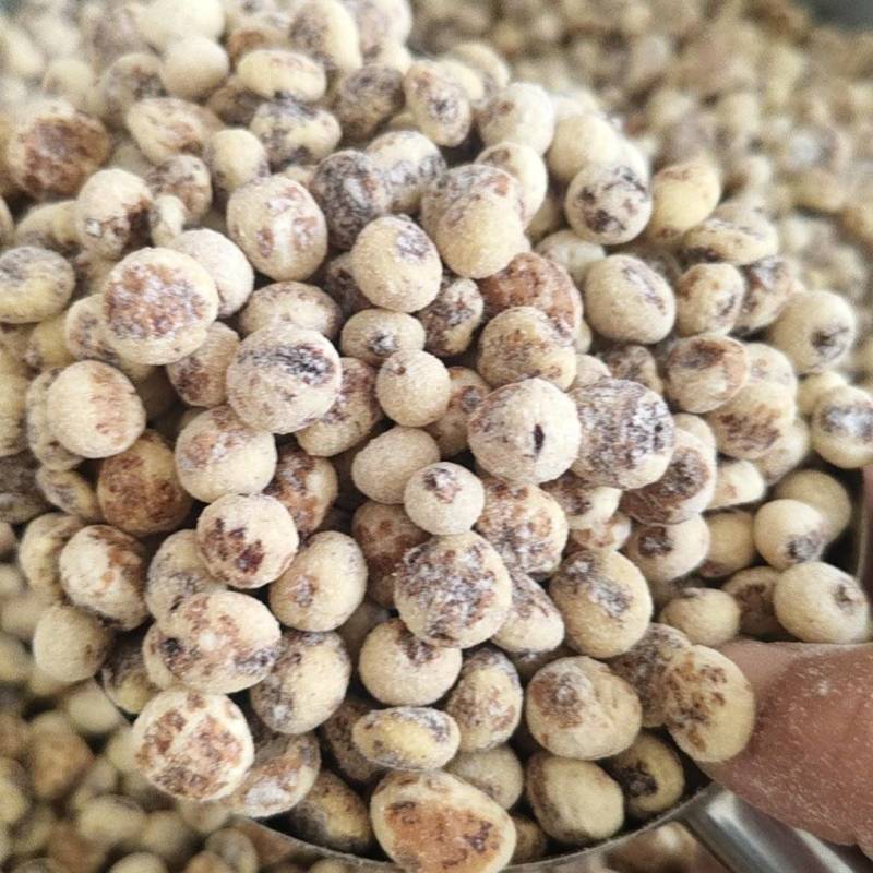 新疆脱皮油砂豆虎坚果