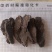 生地黄新货产地一手货源，有现货，真实拍照，24小时内发货