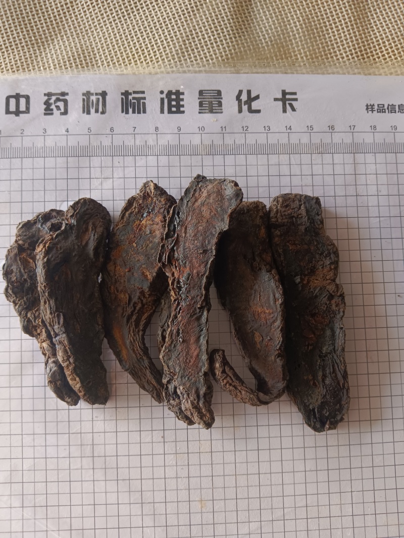 生地黄新货产地一手货源，有现货，真实拍照，24小时内发货