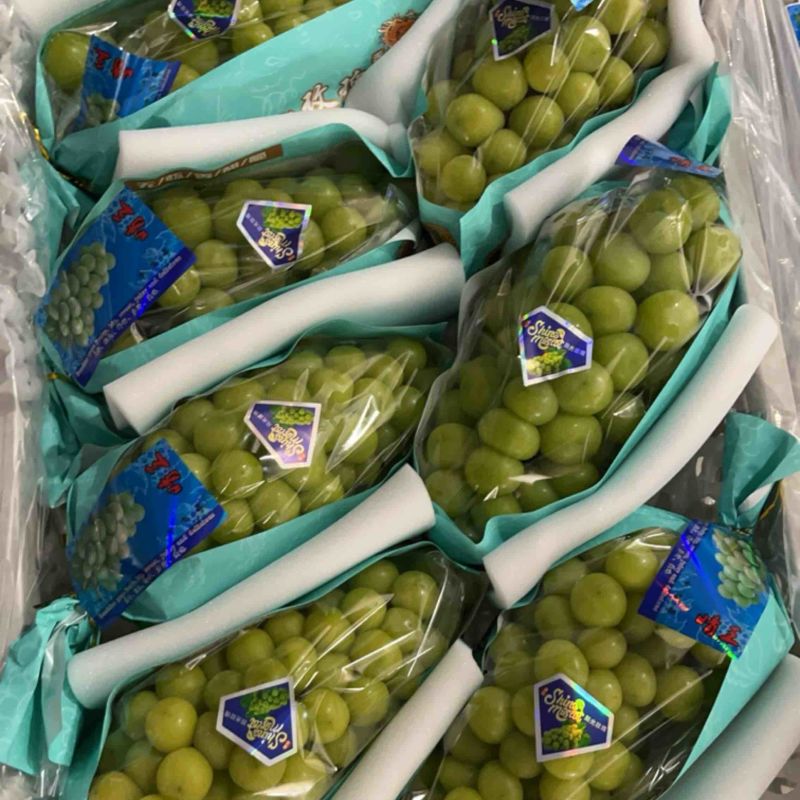 陕西渭南阳光玫瑰葡萄品种繁多货源充足口感好需要的抓紧时间