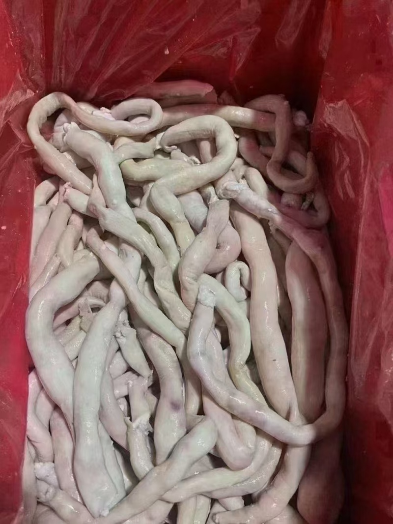 羊肠，羊肥肠，全熟羊肥肠，里外处理的非常干净。
