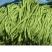 无筋豆新苗大量上市，大量供应，质量保证，合作共