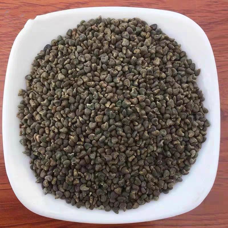 中药材野生苘麻子500g克青麻子白麻子苘实茼麻子顷麻