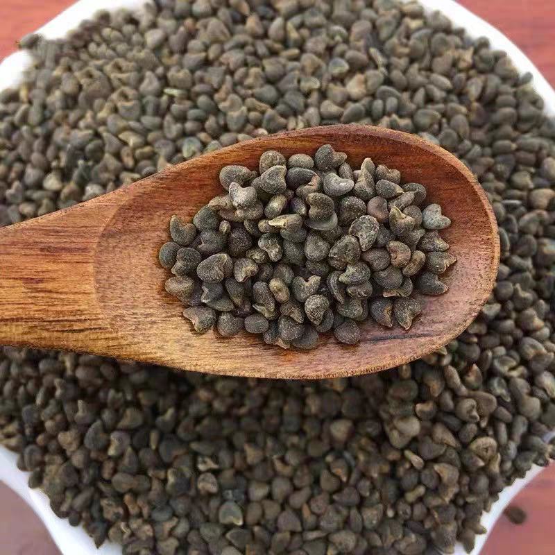 中药材野生苘麻子500g克青麻子白麻子苘实茼麻子顷麻