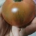 草莓西红柿大量上市