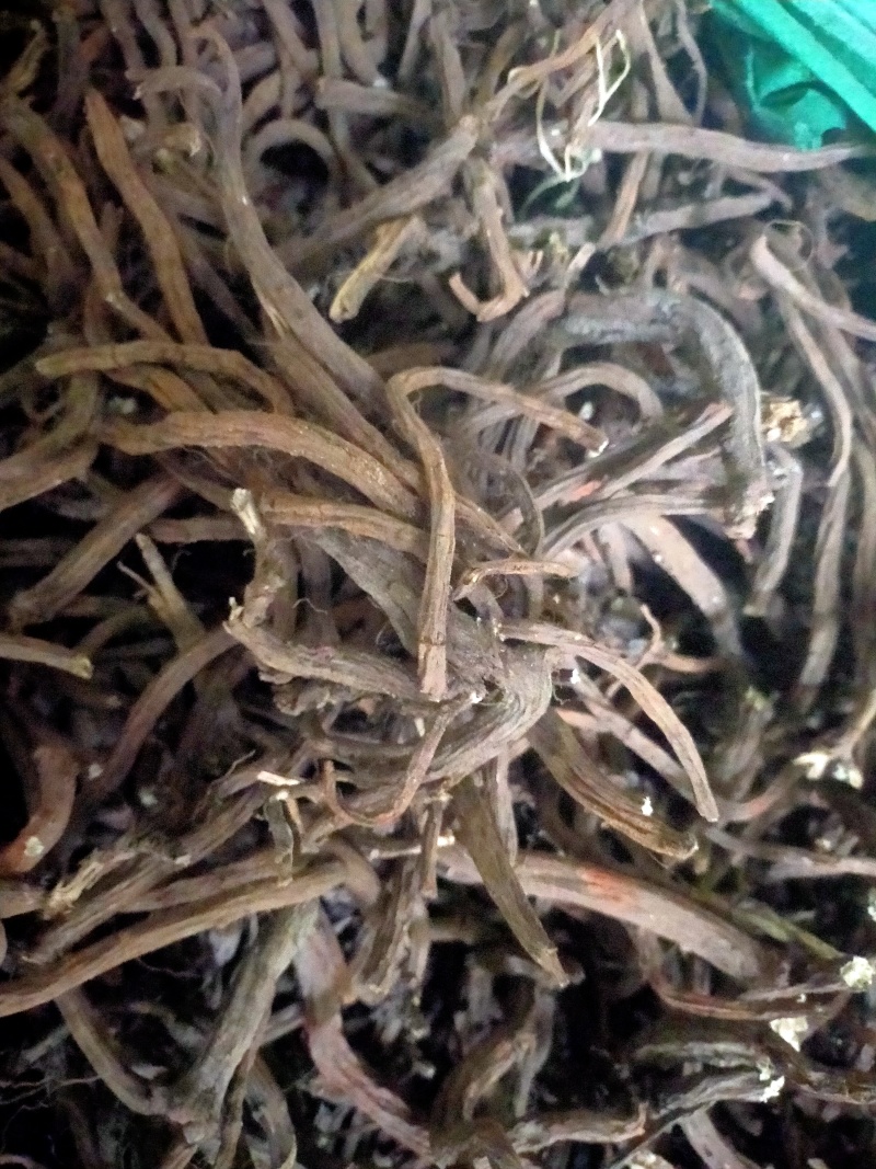 中药材丹参大量有货，产地直销，代收代卖，大量走货