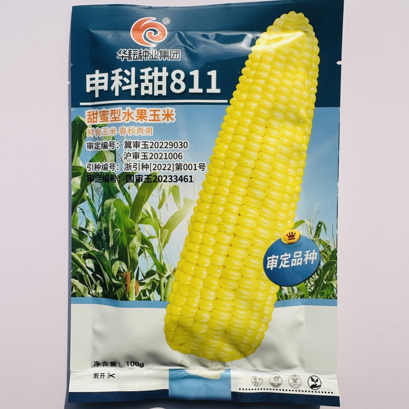 申科甜811甜玉米种子早熟大棒水果玉米种子生吃鲜食玉米种