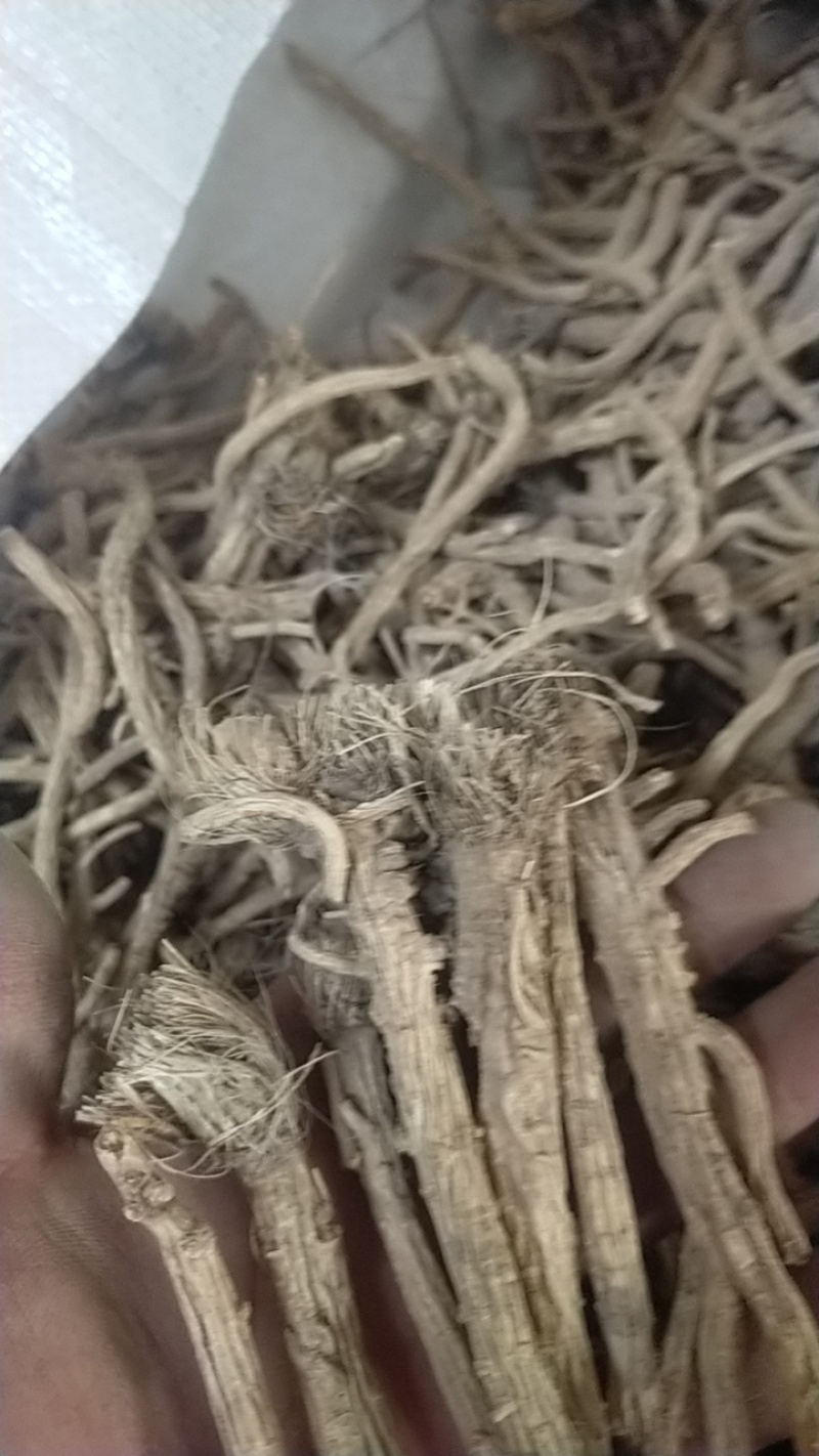 中药材防风，全国无死角代办大量批发，物流走车，欢迎采购