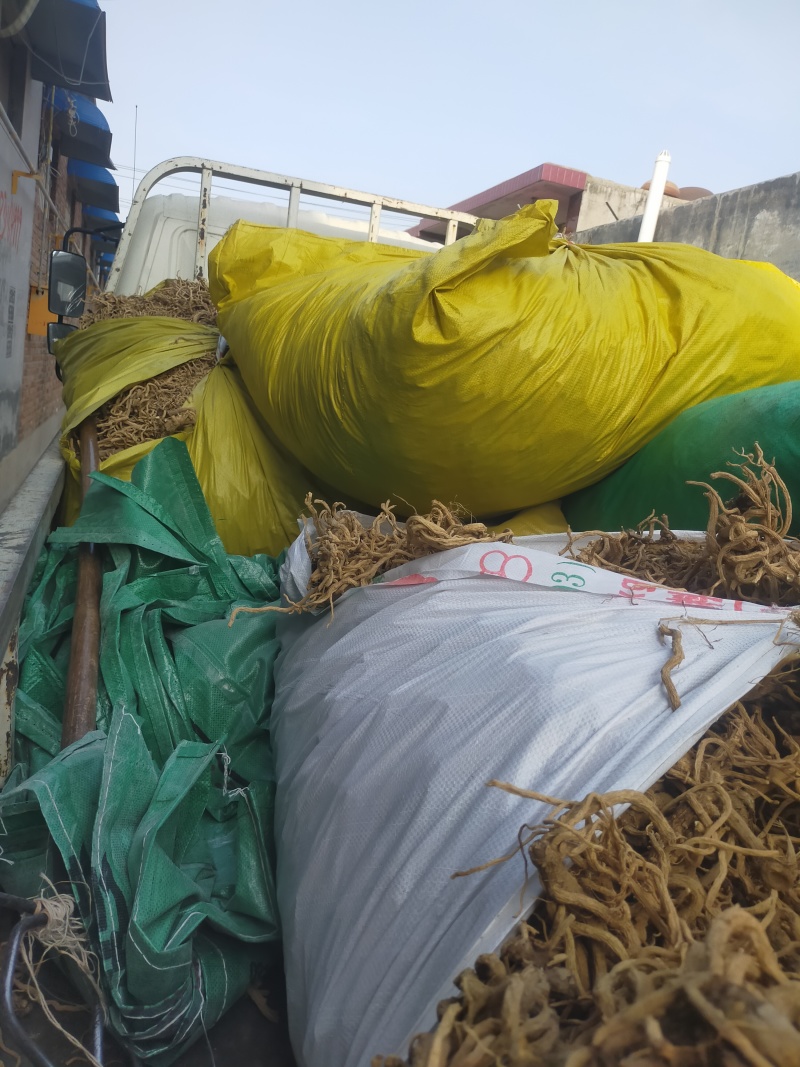 中药材防风，全国无死角代办大量批发，物流走车，欢迎采购