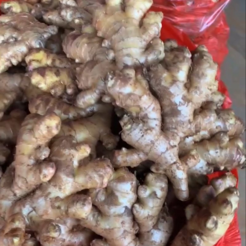小黄姜