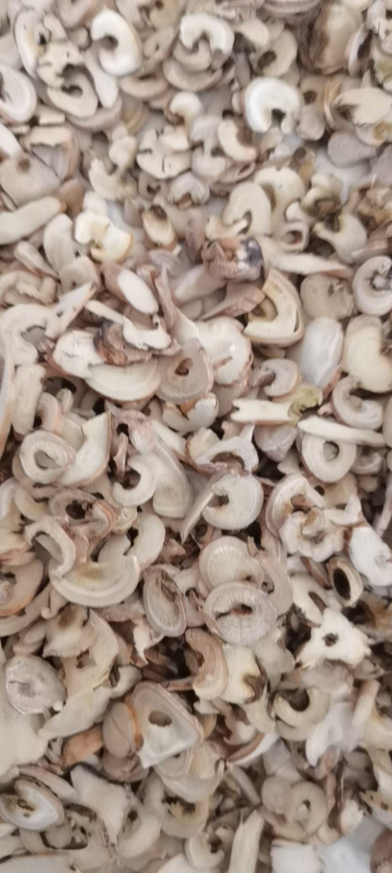 白芍片次片中药材各种规格白芍片产地直销白芍批发量大从优