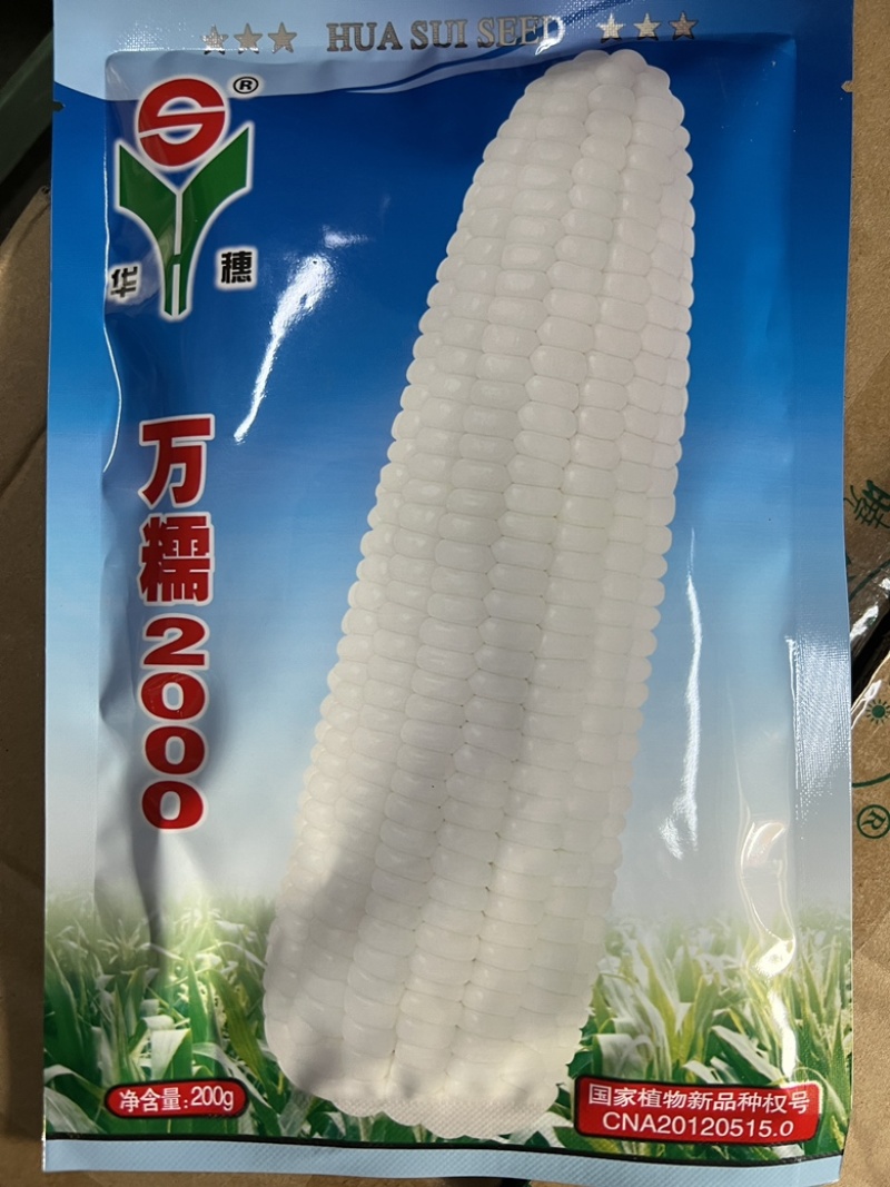【正品】【新货】华穗万糯2000白糯玉米种子超大穗