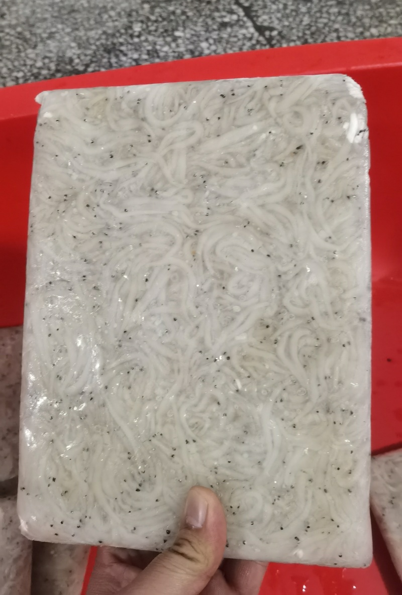 银鱼