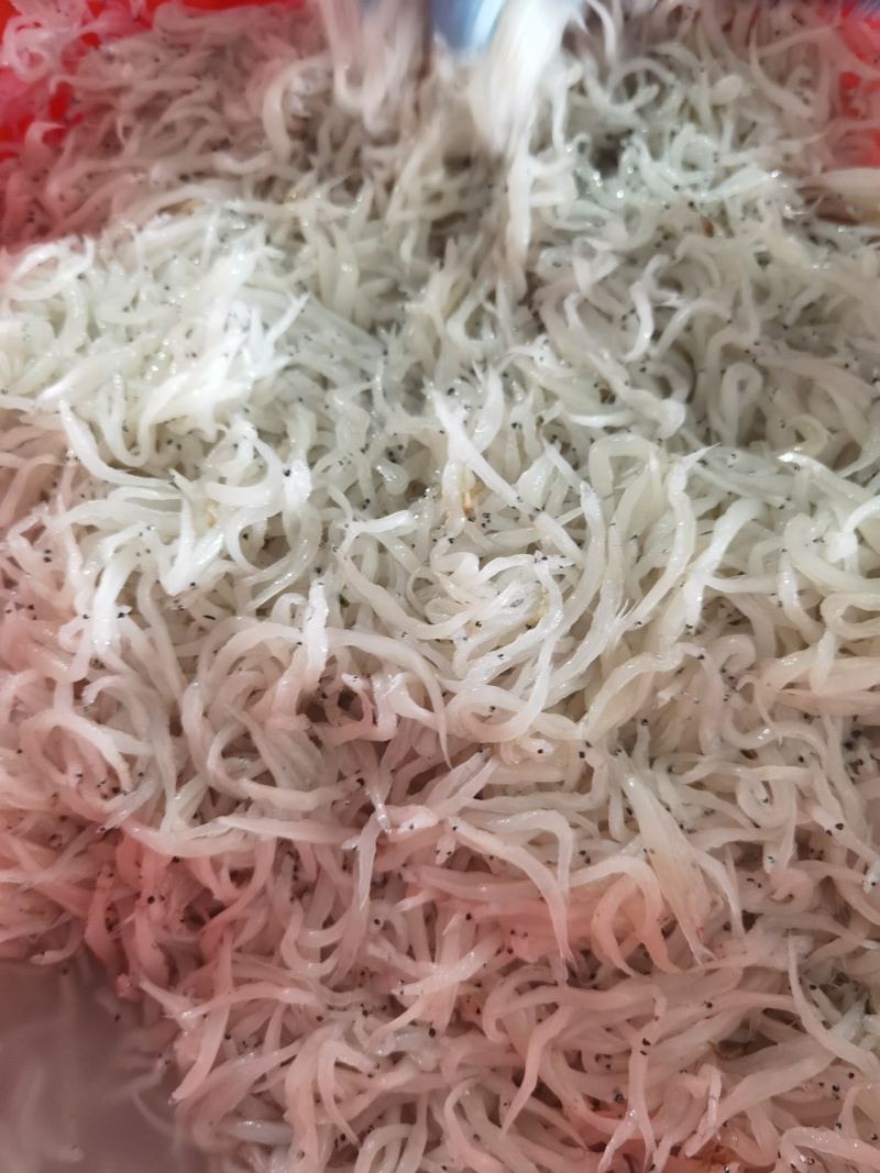 银鱼