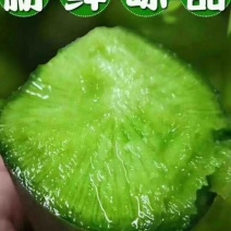 是沙窝萝卜