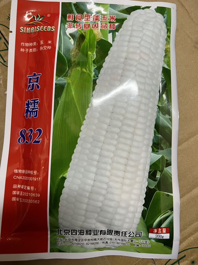 【国审】京糯832糯玉米种子大棒型穗型好看耐热