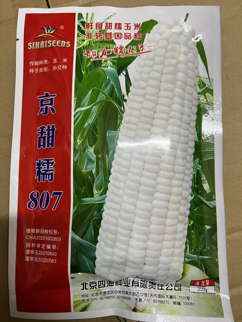 【国审】京甜糯807甜加糯玉米种子早熟包叶绿不返生