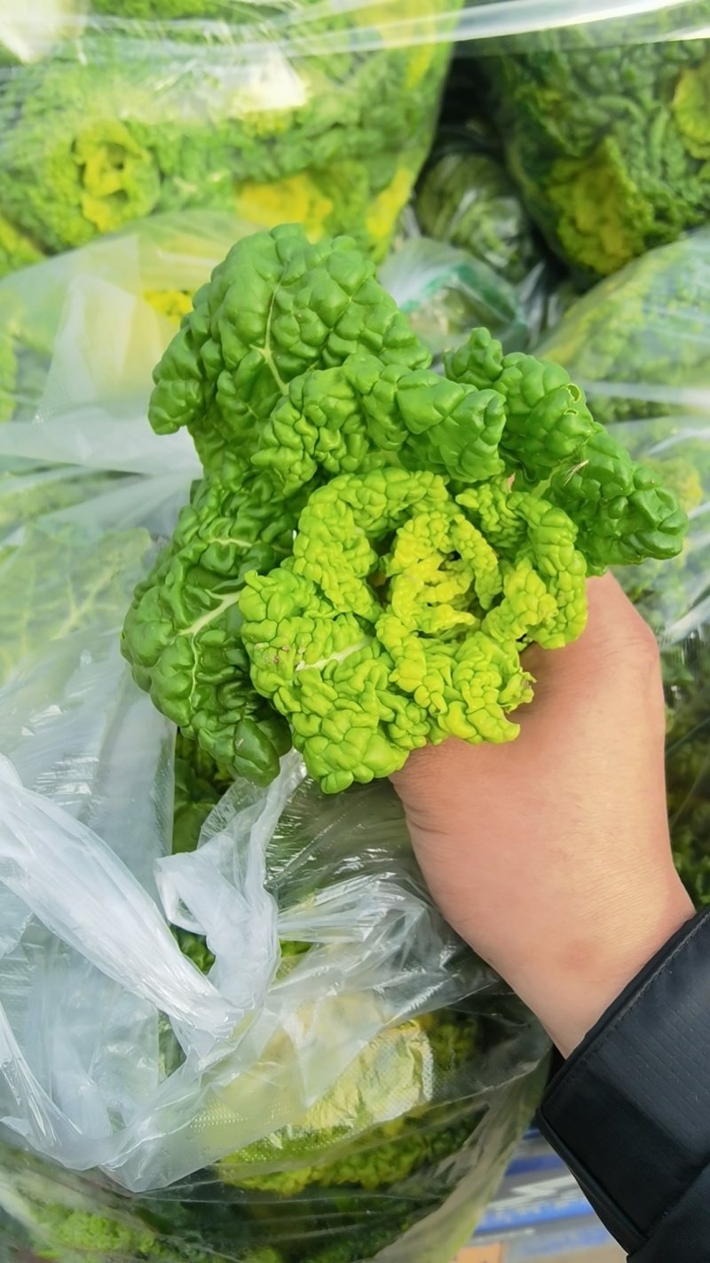 黄心菜