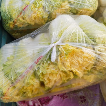 黄丫菜