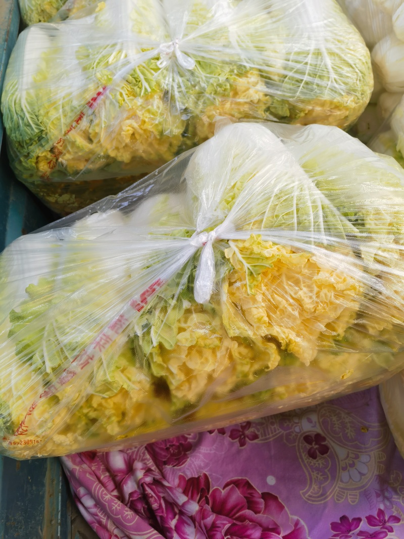 黄丫菜