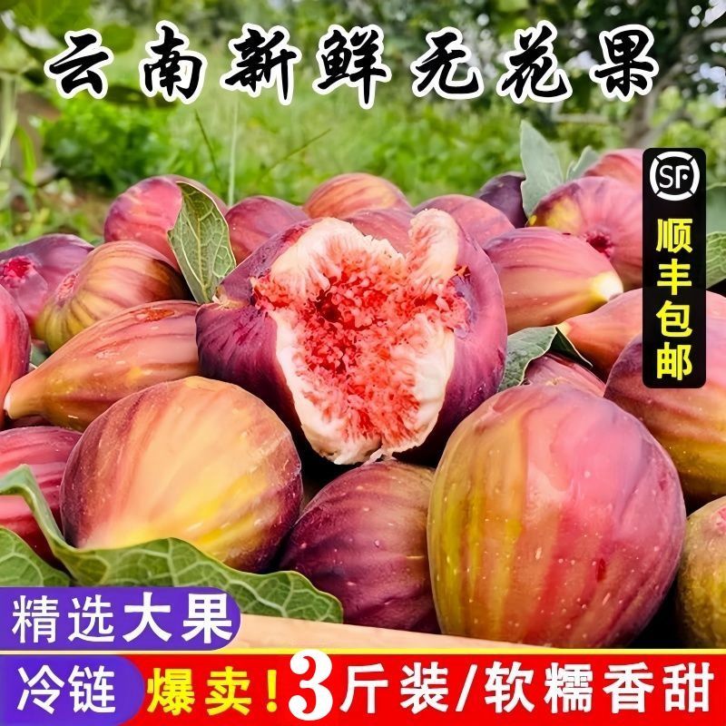 顺丰现摘新鲜红皮无花果新鲜水果整箱非威海青皮无花果小果小个