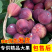 顺丰现摘新鲜红皮无花果新鲜水果整箱非威海青皮无花果小果小个