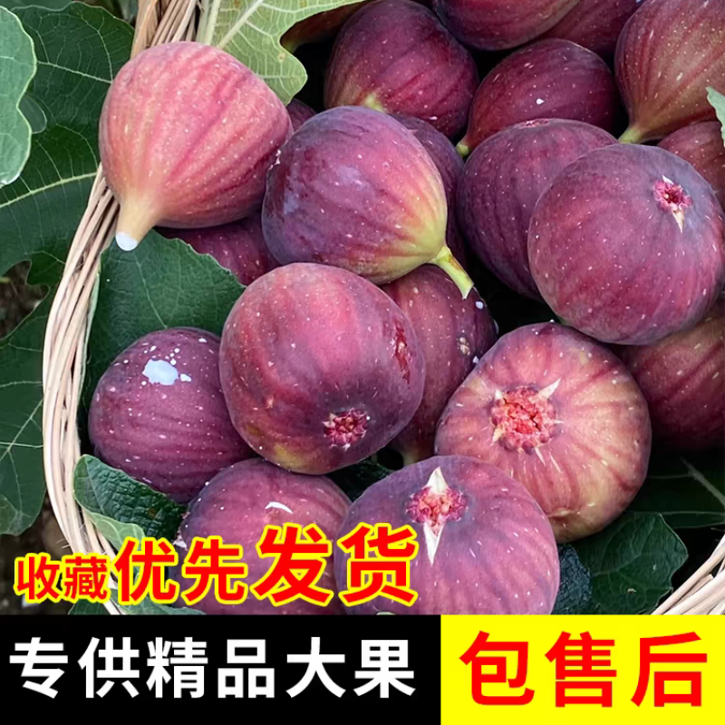 顺丰现摘新鲜红皮无花果新鲜水果整箱非威海青皮无花果小果小个