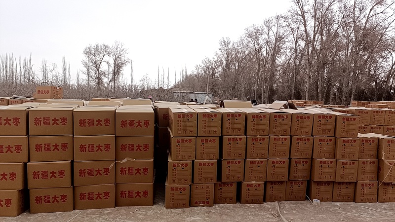 新疆灰枣可视频看货量大从优一手货源