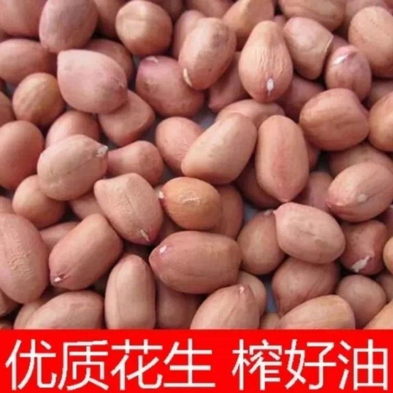 临沂纯花生油农家作坊榨油坊品质保证假一赔十欢迎购买
