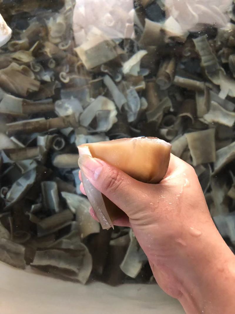 鲨鱼皮