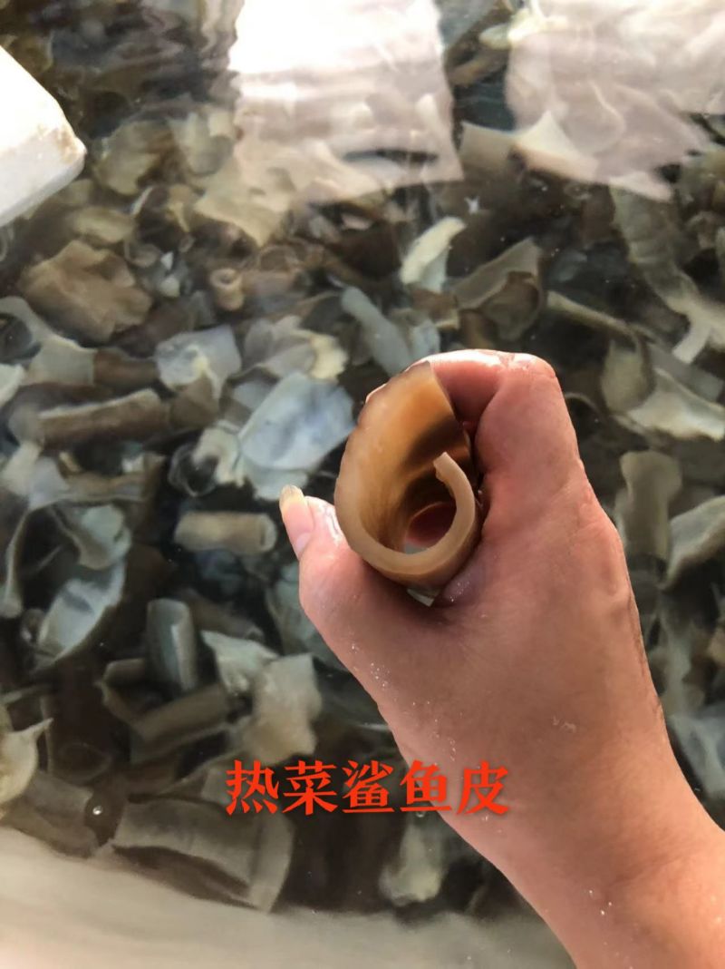 鲨鱼皮