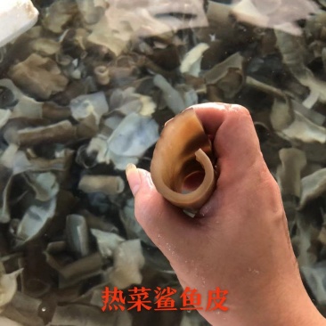 鲨鱼皮