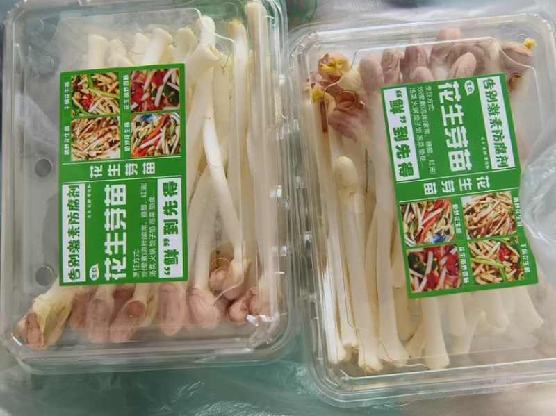 内蒙花生芽大量上市欢迎各位老板前来咨询