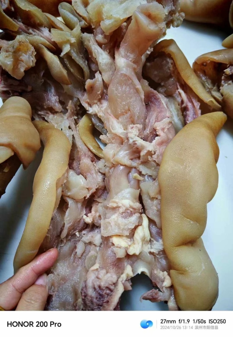 【熟牛蹄筋】全熟去骨带主筋牛蹄，量大从优，现货先发！